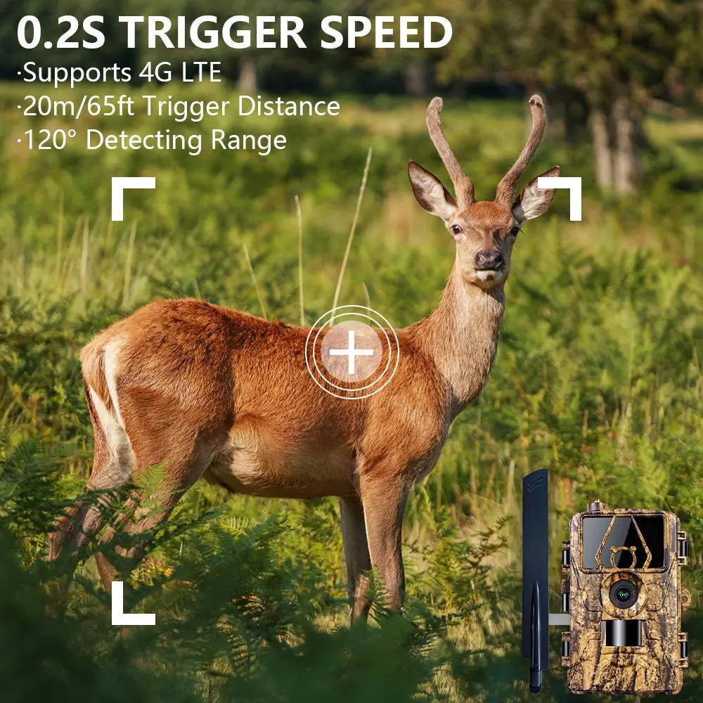 Pr801 4G obserwacja sieciowa k – Outdoor Hunting House recenzja i cena